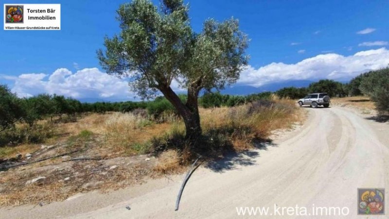 Kamilari Kreta Kamilari, Baugrundstück 2.000m² mit 2 Baugenehmigungen ! zu verkaufen Grundstück kaufen
